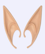 Long section