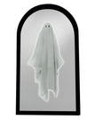 Arc large white / United States