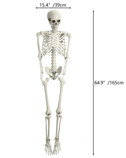 5.4FT Life-Size Light-Up Skeleton Decoration - Realistic Full Body Bones with Movable Joints and Glowing Eyes for Halloween