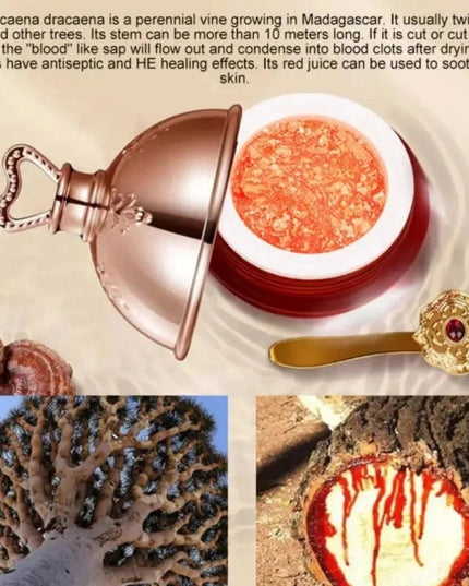 Dragon's Blood Face Cream Retinol Placenta Essence Brightening Lift Firming Skin Care Korean Cosmetics