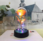 Orange Colored light