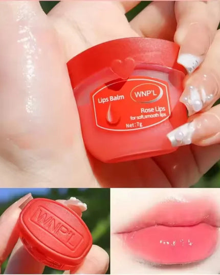 4/6/8pcs Moisturizing Lip Balm Sets Lipstick Makeup Natural Plant Base Moisturizer Lip Balm Anti-Cracking Lips Skin Care