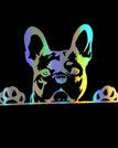 Laser / 15cm-10cm