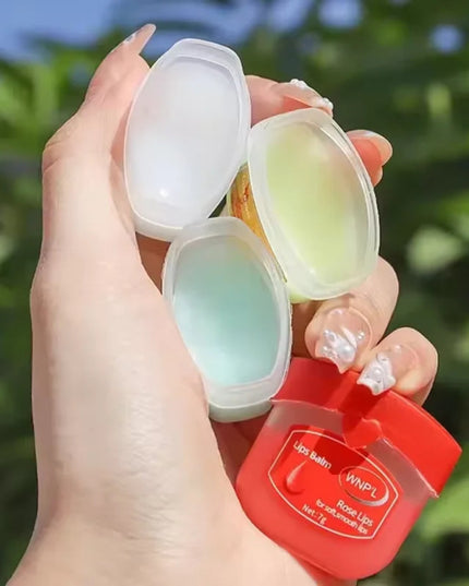 4/6/8pcs Moisturizing Lip Balm Sets Lipstick Makeup Natural Plant Base Moisturizer Lip Balm Anti-Cracking Lips Skin Care