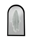 Arc small white / United States